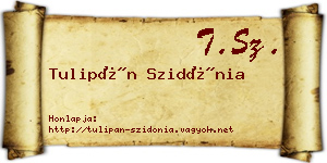 Tulipán Szidónia névjegykártya